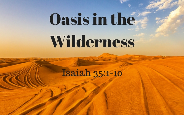 oasis-in-the-wilderness